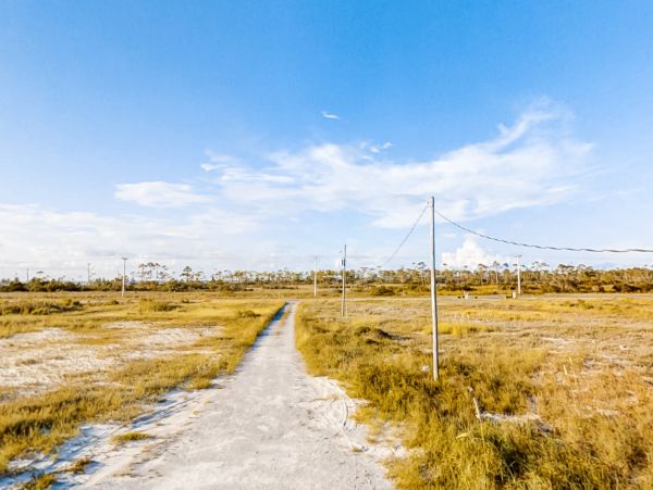 Alabama Beach Areas Home 1012398