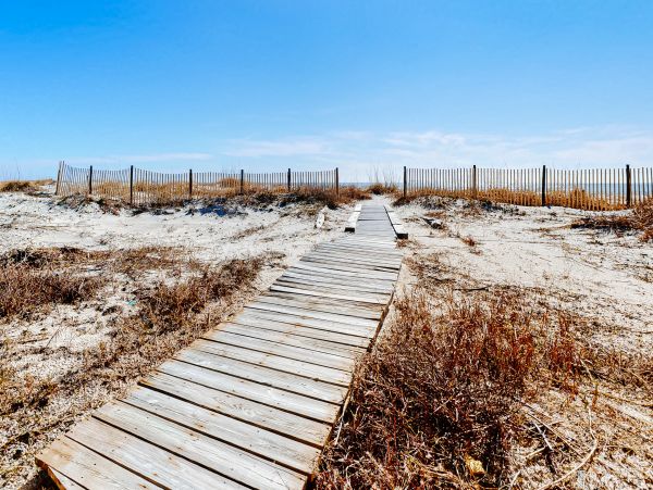 Alabama Beach Areas Home 1012401