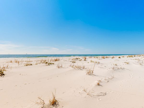 Alabama Beach Areas Home 1012401