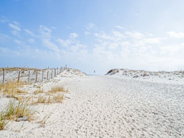 Alabama Beach Areas Home 1012419
