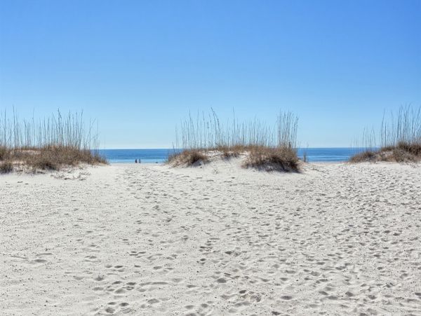 Alabama Beach Areas Home 1012440