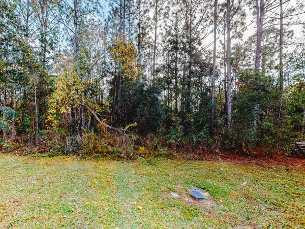 Alabama Beach Areas Home 1012474