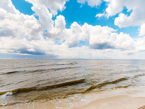 Alabama Beach Areas Home 1012501