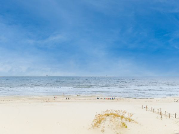 Alabama Beach Areas Home 1012510