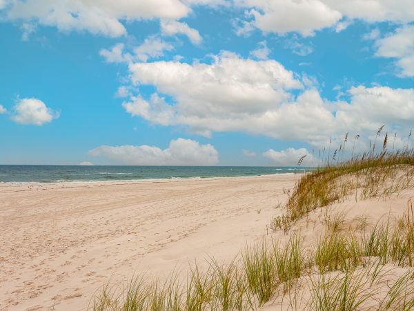 Alabama Beach Areas Home 1012541