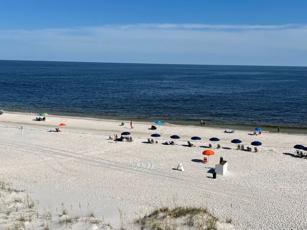 Alabama Beach Areas Home 1012541