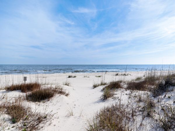 Alabama Beach Areas Home 1012546