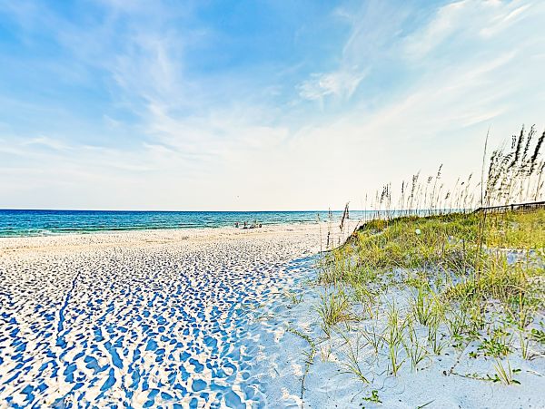 Alabama Beach Areas Home 1012548