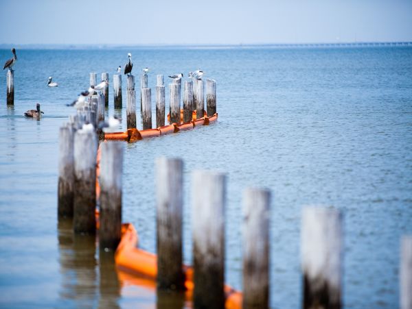 Alabama Beach Areas Home 1012551