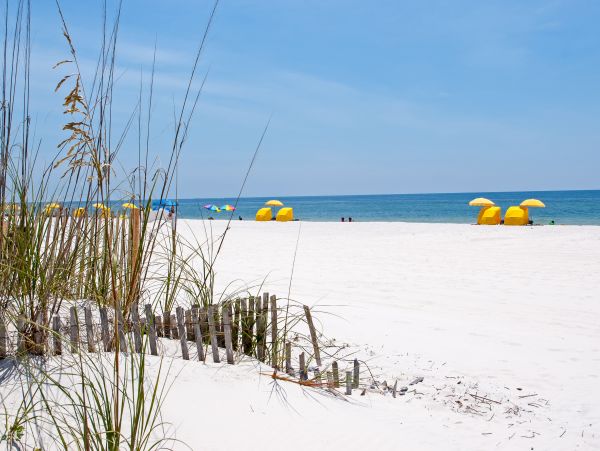 Alabama Beach Areas Home 1012551