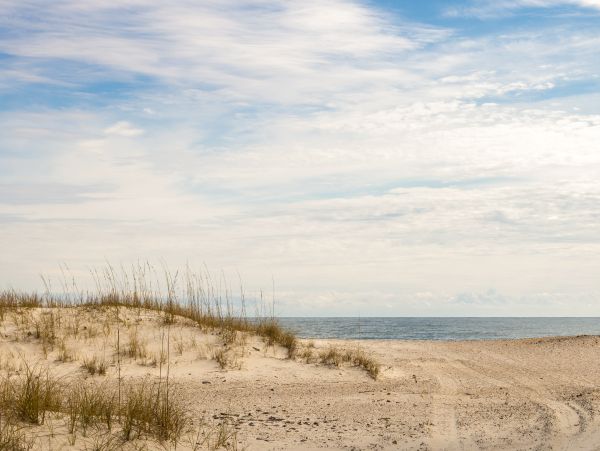 Alabama Beach Areas Home 1012558