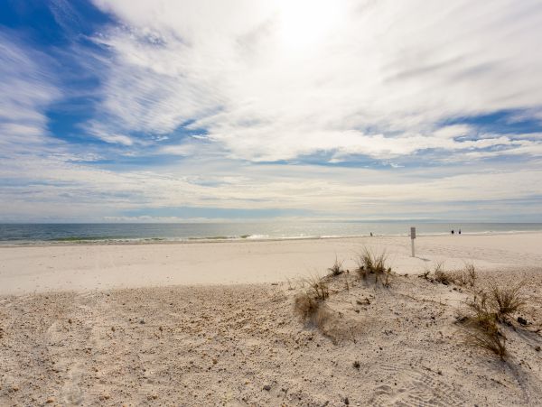 Alabama Beach Areas Home 1012558