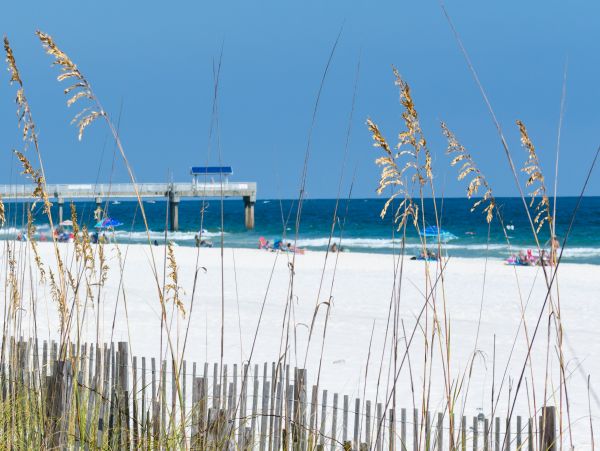 Alabama Beach Areas Home 1012590