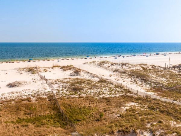 Alabama Beach Areas Home 1012614