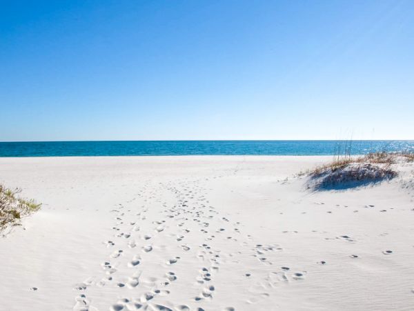 Alabama Beach Areas Home 1012618