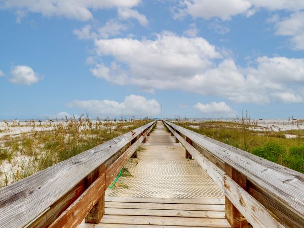 Alabama Beach Areas Home 1012630