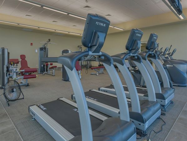 Alabama Beach Areas Home 1012643