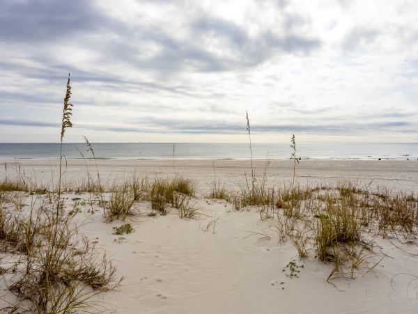 Alabama Beach Areas Home 1012648