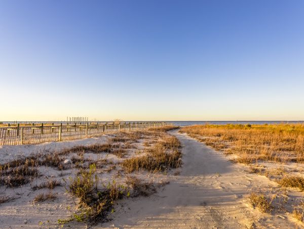 Alabama Beach Areas Home 1012651