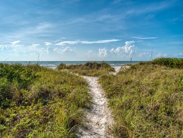 Indian Shores Ai Condo 1012716