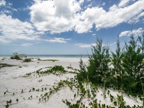 Indian Shores Ai Condo 1012735