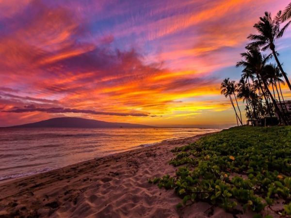 Wailea 2 Bedroom Condo Sleeps 6 Guests Communal Pool & Spa