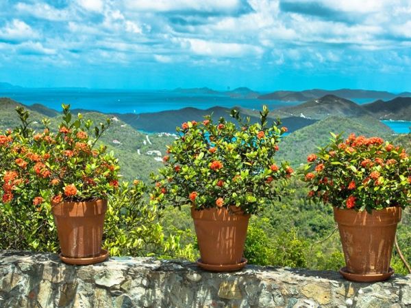 Beautiful Views St. John Vacation Pool Villa Six Bedroom