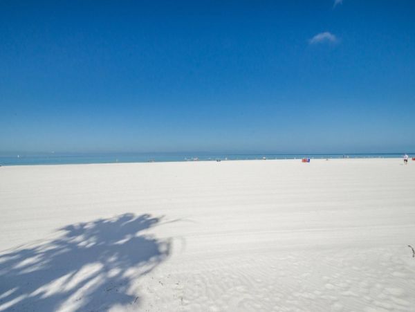 Indian Rocks Indian Shores Condo 1012762