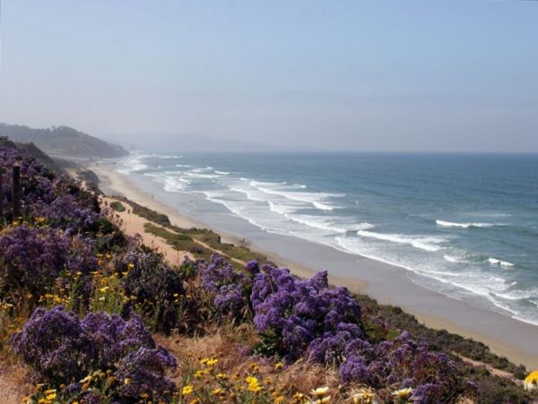 San Diego Beach Communities North Condo 1012775