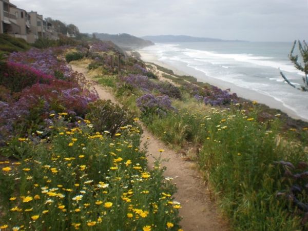 San Diego Beach Communities North Condo 1012775