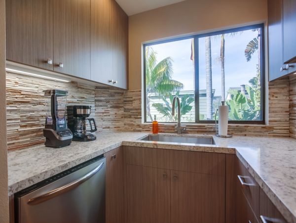 San Diego Beach Communities North Home 1012778