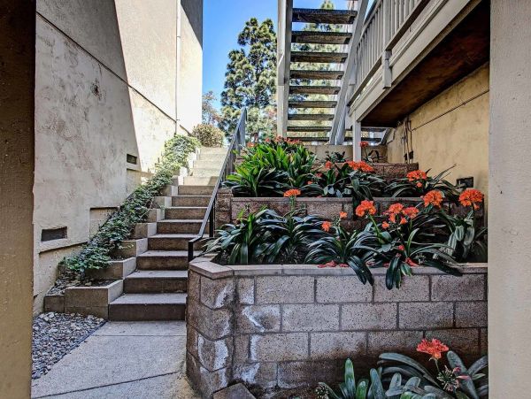 San Diego Beach Communities North Condo 1012796