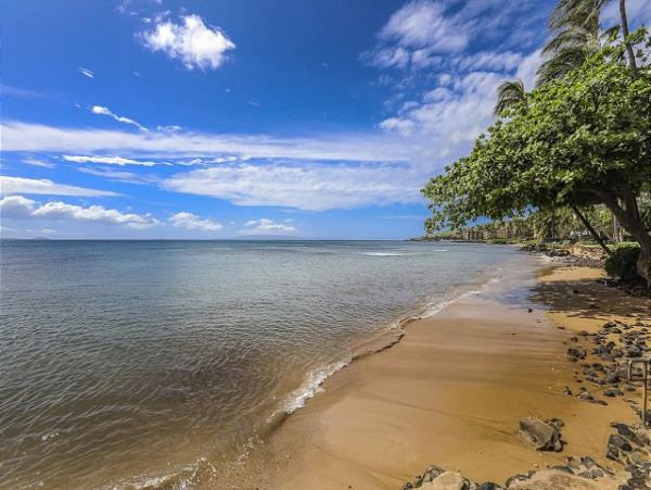 Ocean Views Vacation Condo Two Bedroom