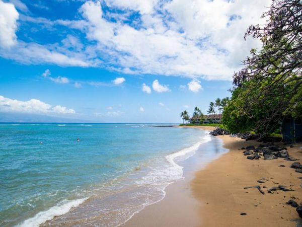 Ocean Views Ground Floor Vacation Condo 1 Bedroom in Lahaina