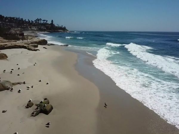Mission Beach Beautiful Three Bedroom Vacation Home