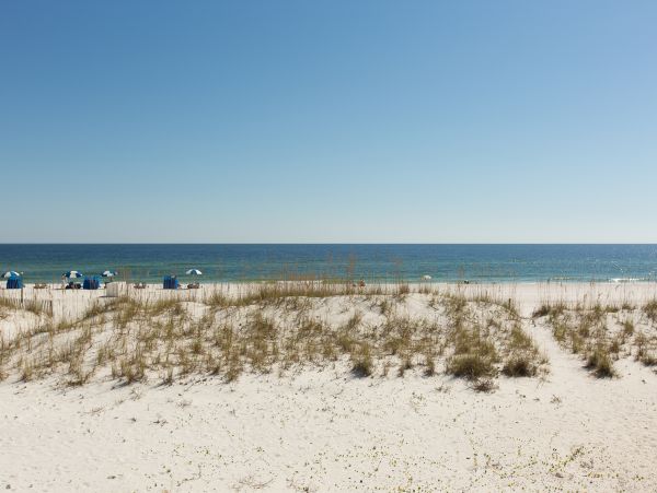 Alabama Beach Areas Home 1013055
