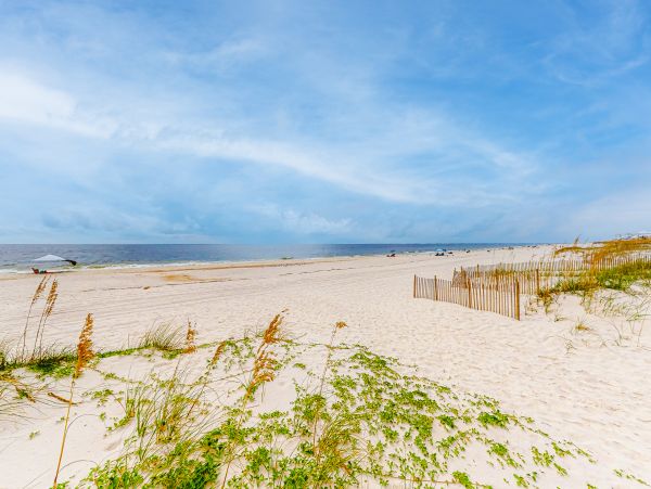 Alabama Beach Areas Home 1013069