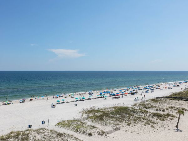 Alabama Beach Areas Home 1013081