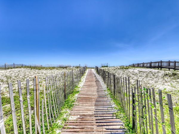 Alabama Beach Areas Home 1013081