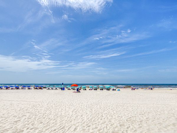 Alabama Beach Areas Home 1013081
