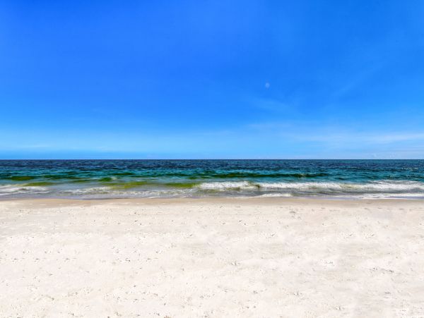 Alabama Beach Areas Home 1013081