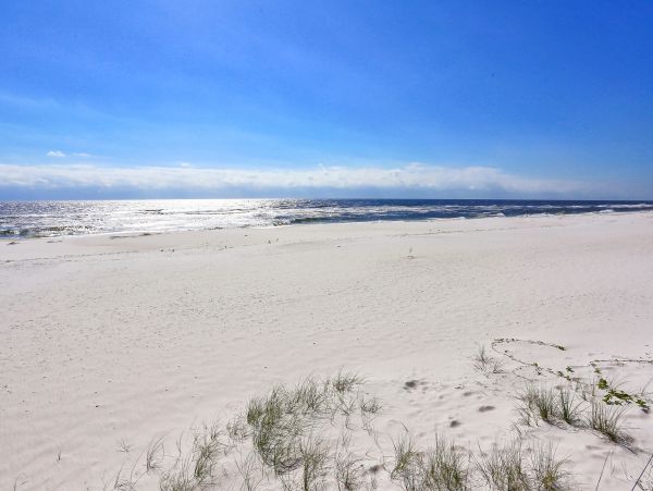 Alabama Beach Areas Home 1013113