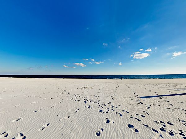 Alabama Beach Areas Home 1013119