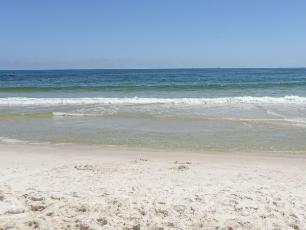 Alabama Beach Areas Home 1013134