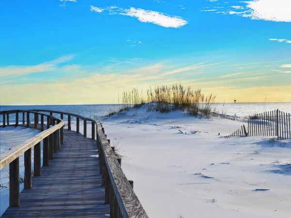 Alabama Beach Areas Home 1013152