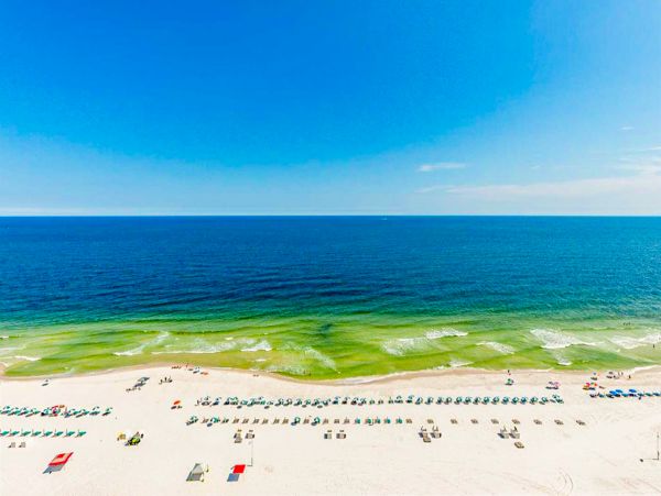 Alabama Beach Areas Home 1013156