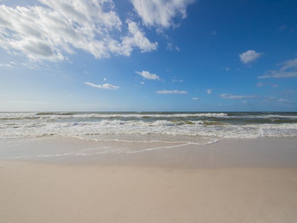 Alabama Beach Areas Home 1013163