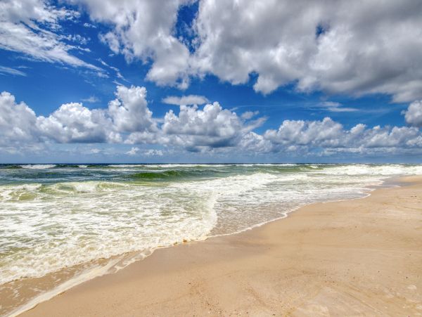 Alabama Beach Areas Home 1013182