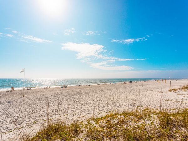 Alabama Beach Areas Home 1013218