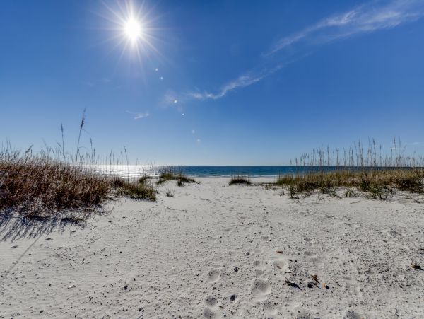 Alabama Beach Areas Home 1013222